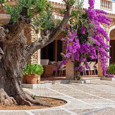 Villa Turquesa